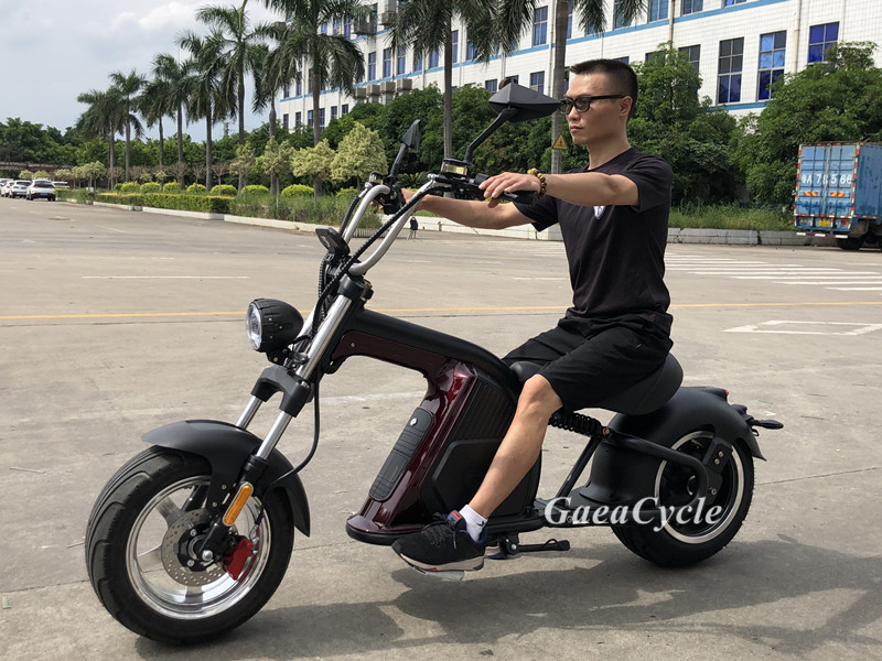 New Citycoco Wheel Electric Scooter Chopper Scooter With Eec Coc