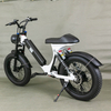 GaeaCycle Step Through Electric Bike, 500W Fat Tire Ebike, 20"*4 Fat Tire, 48V 15Ah Lithium Battery | Electric Bike Manufacturer