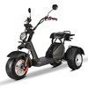 GaeaCycle Trike Motorcycle 10inch Fat Tires EEC COC 45km/h 4000w Citycoco Three Wheel Electric Scooter