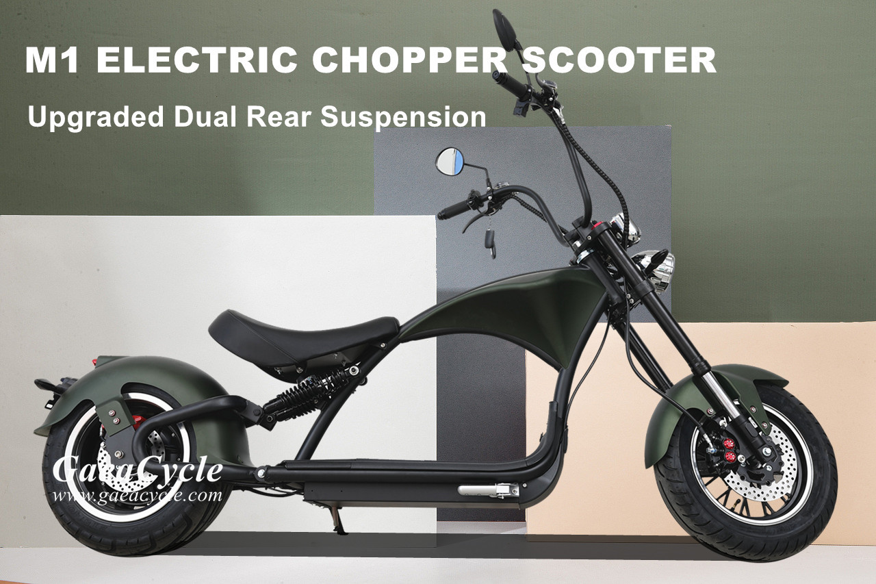 Mangosteen Wholesale Electric Chopper Motorcycle M1P - Mangosteen