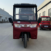 LB-BFB160 Cargo Trike Electric Motor Three Wheel Mini Truck with Shed for Farming and Transport from Manufacturer