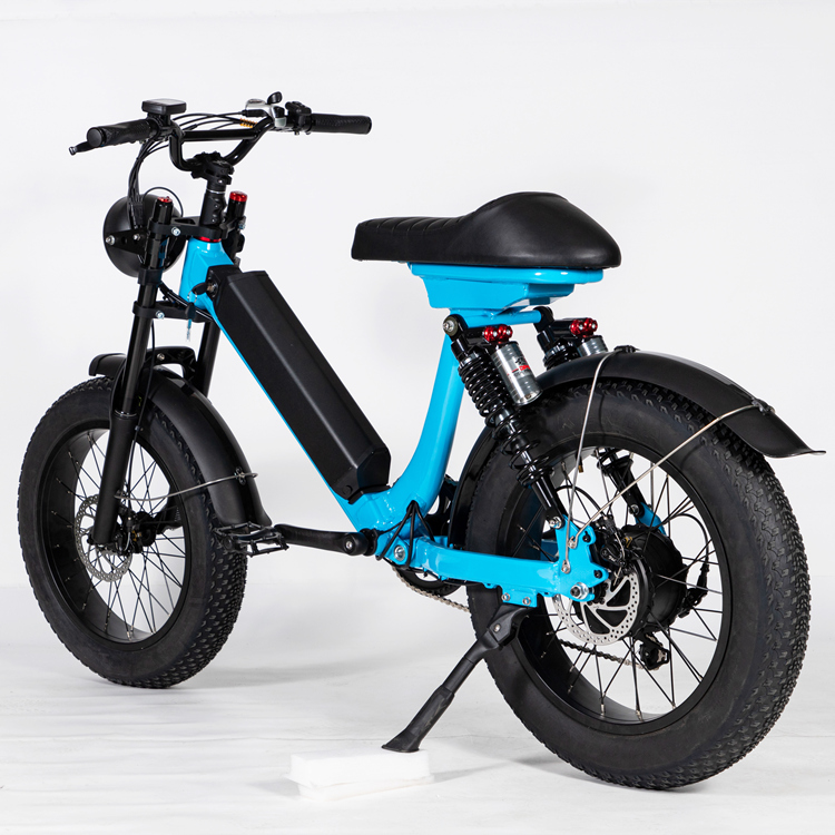 GaeaCycle Step Through Electric Bike, 500W Fat Tire Ebike, 20"*4 Fat Tire, 48V 15Ah Lithium Battery | Electric Bike Manufacturer