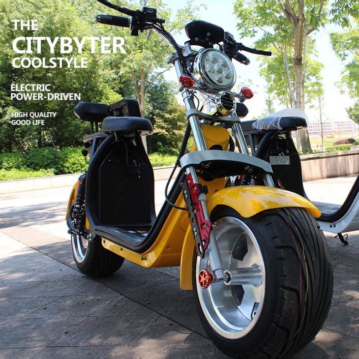 New Double Battery Citycoco Fat Tire Electric Scooter