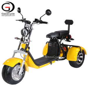 EEC COC Approval 1500W Double Battery Citycoco 3 Wheel Electric Scooter 